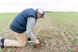 Agricultura regenerativa en Santa Fe: Cultivando de forma más sostenible